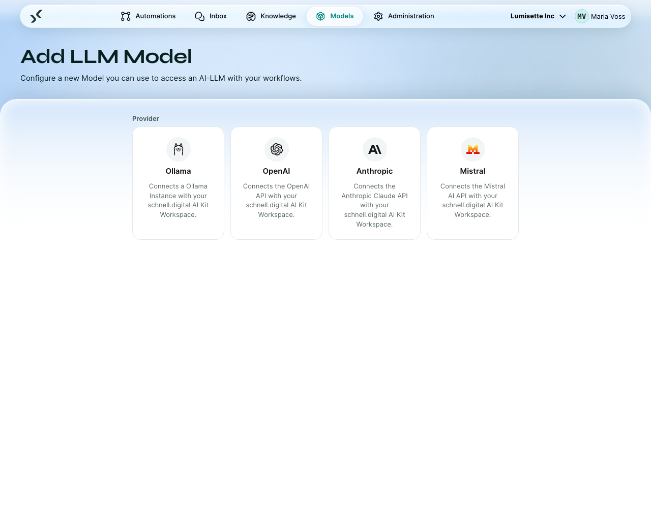 The model form before a provider is picked: only the four provider choices.