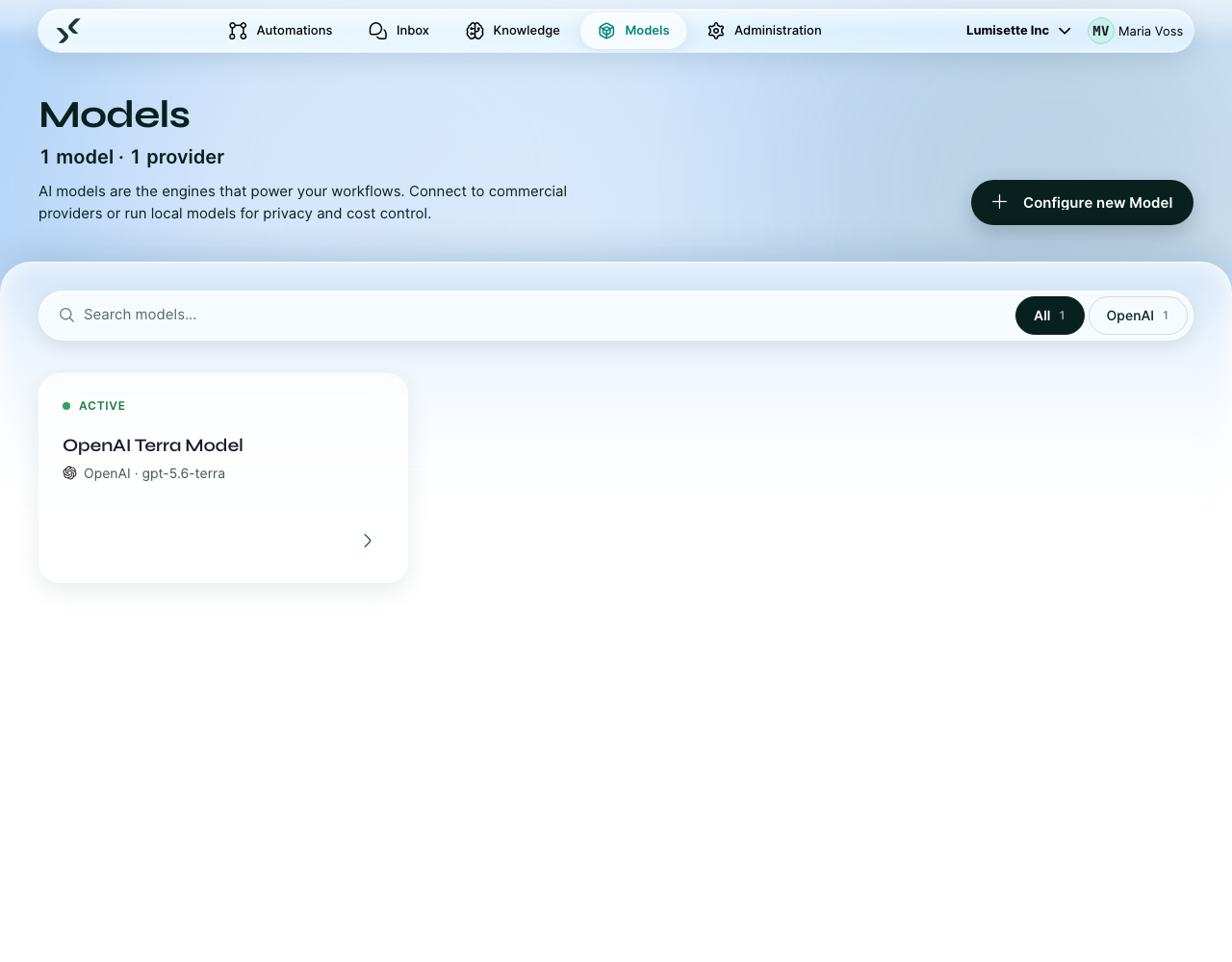 The Models tab showing the configured models with their provider and model identifier.