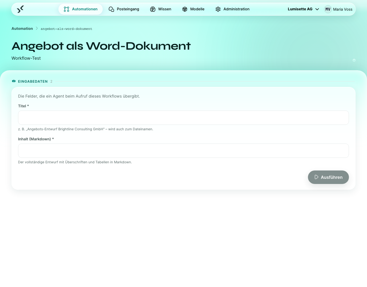 Die Seite „Workflow-Test“ mit Eingabefeldern für die Ausgaben des Triggers.