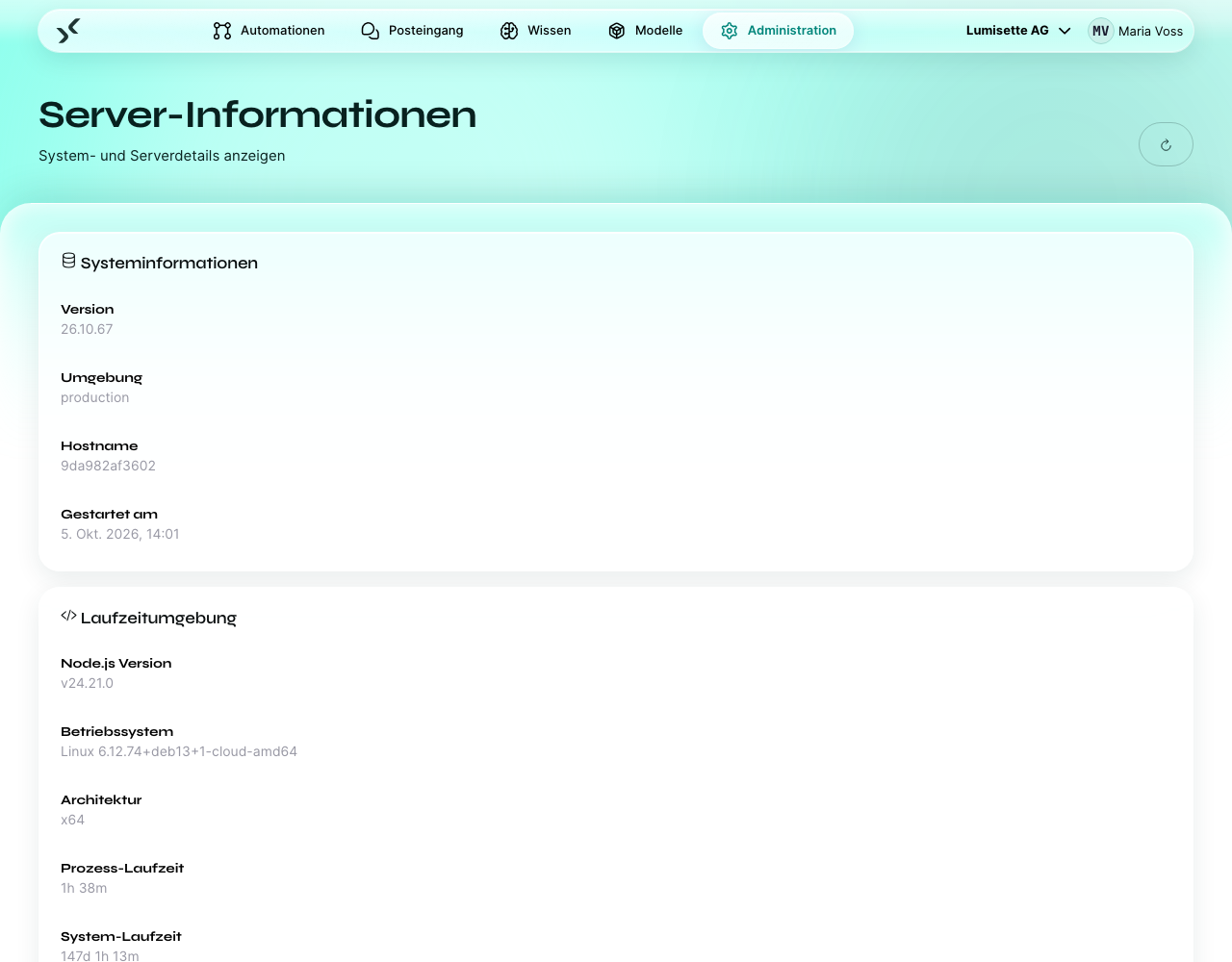 Die Seite „Server-Informationen“ mit Version, Umgebung und Angaben zur Laufzeit.